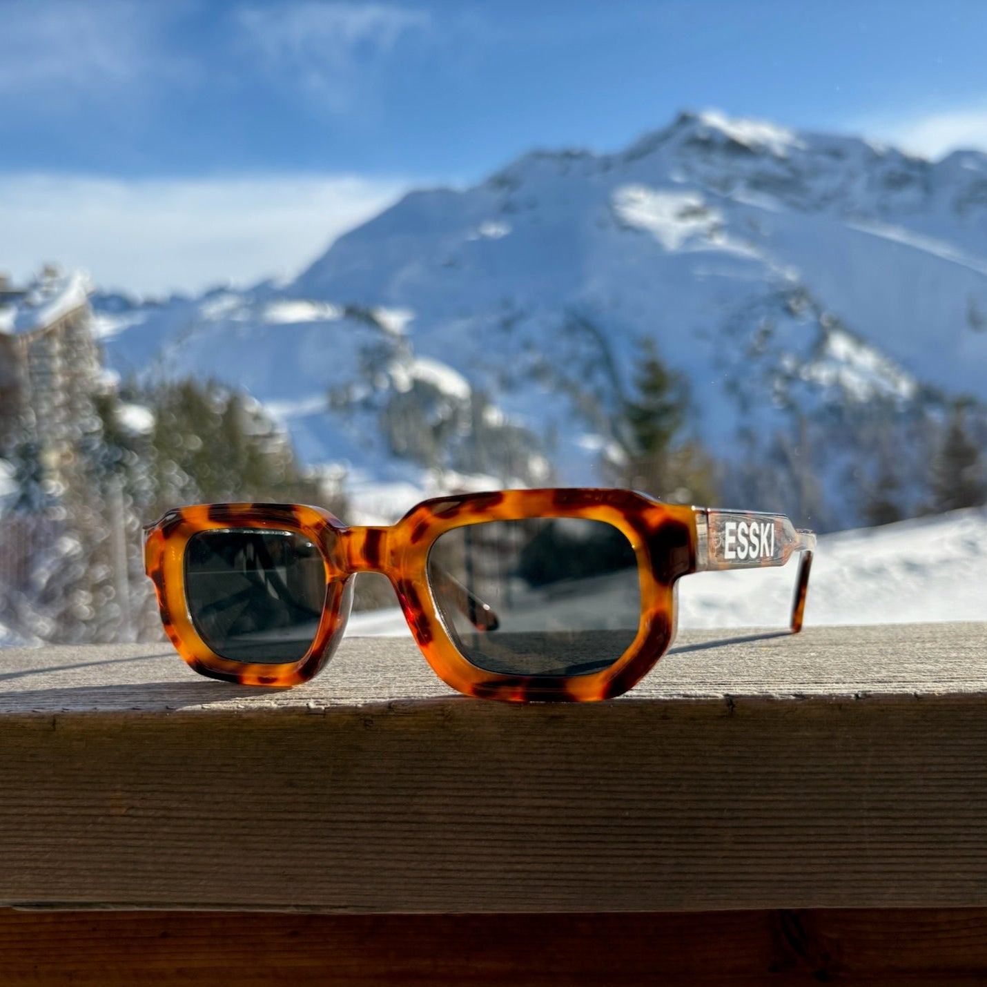 V1 - Tortoise Shell